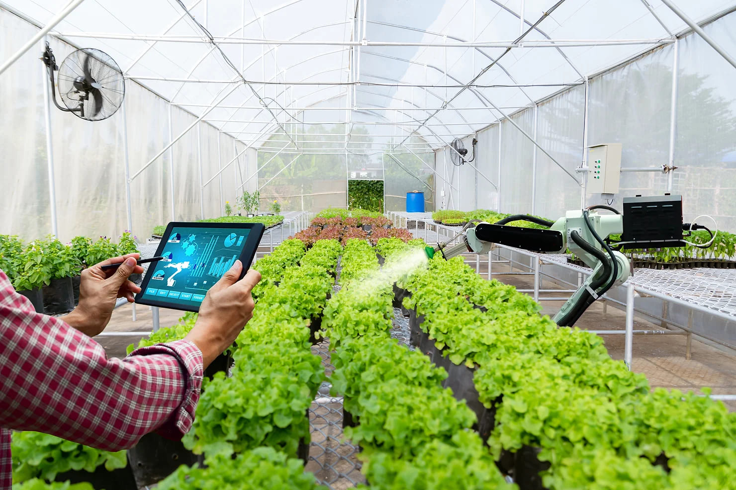 La Transformación Digital Exponencial en el sector agroalimentario ya es un hecho: menor contacto presencial, más formación y acceso a información online, auditorías en remoto